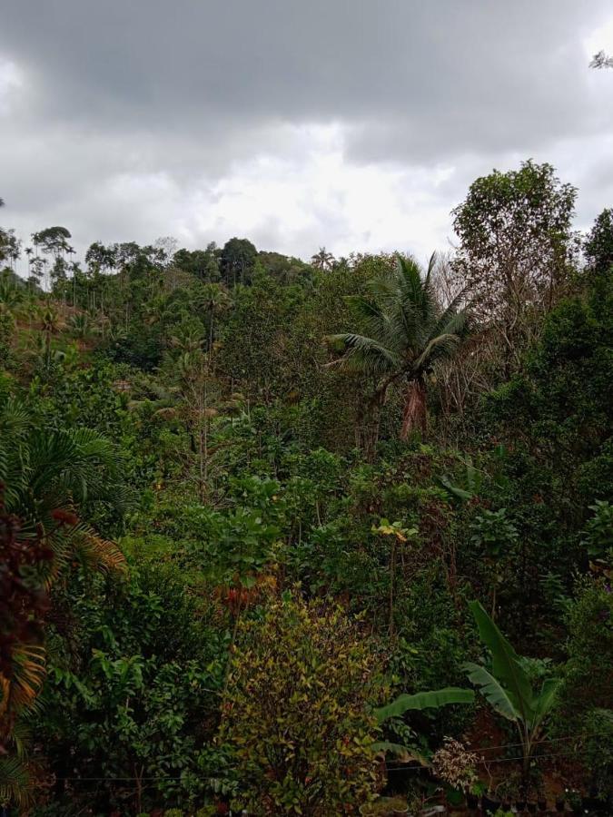 Maliyeckal Homestay Munnar Eksteriør bilde