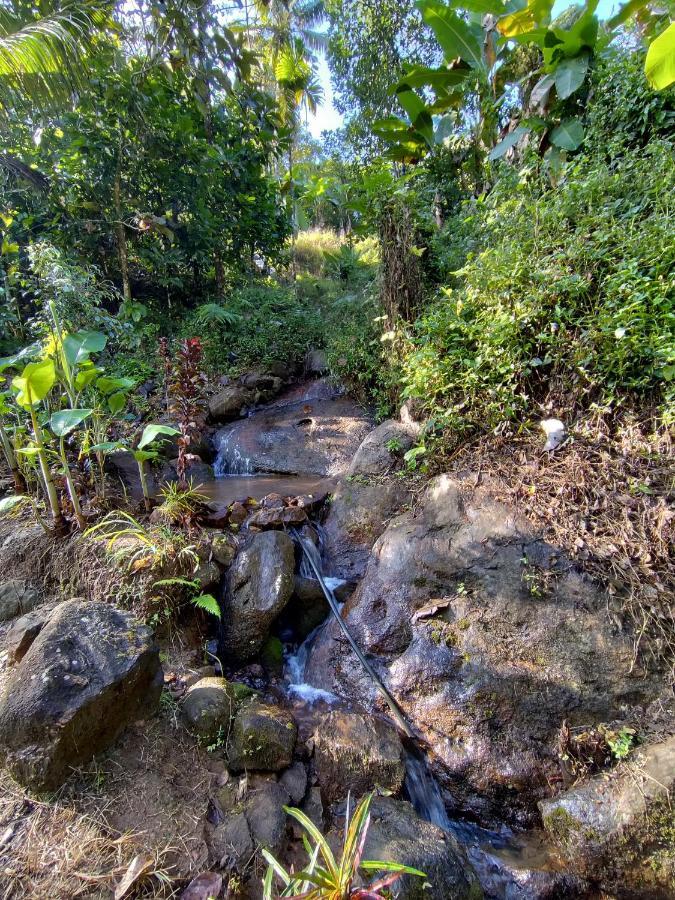 Maliyeckal Homestay Munnar Eksteriør bilde