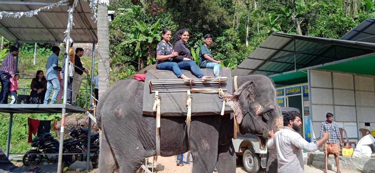 Maliyeckal Homestay Munnar Eksteriør bilde