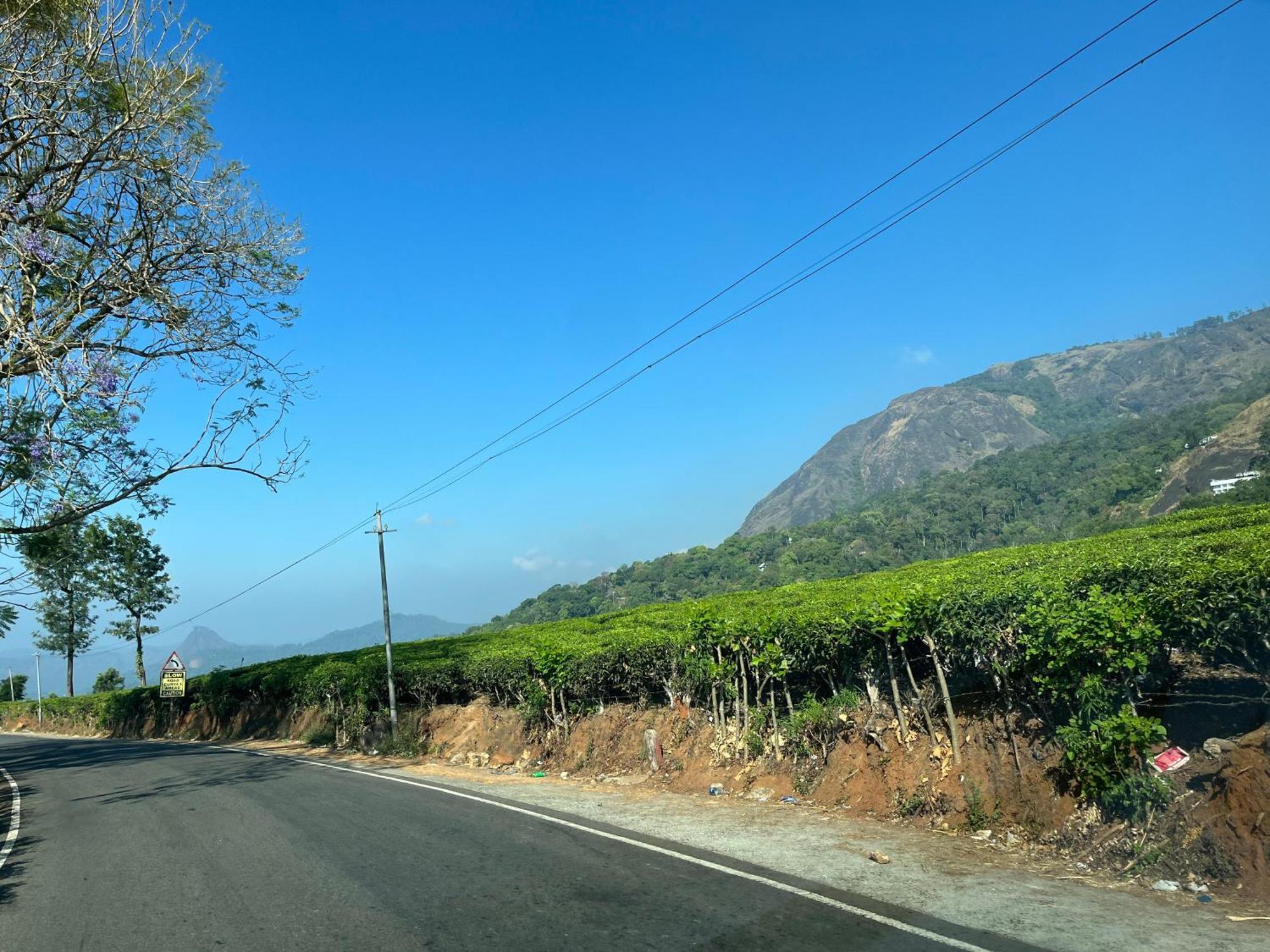 Maliyeckal Homestay Munnar Eksteriør bilde