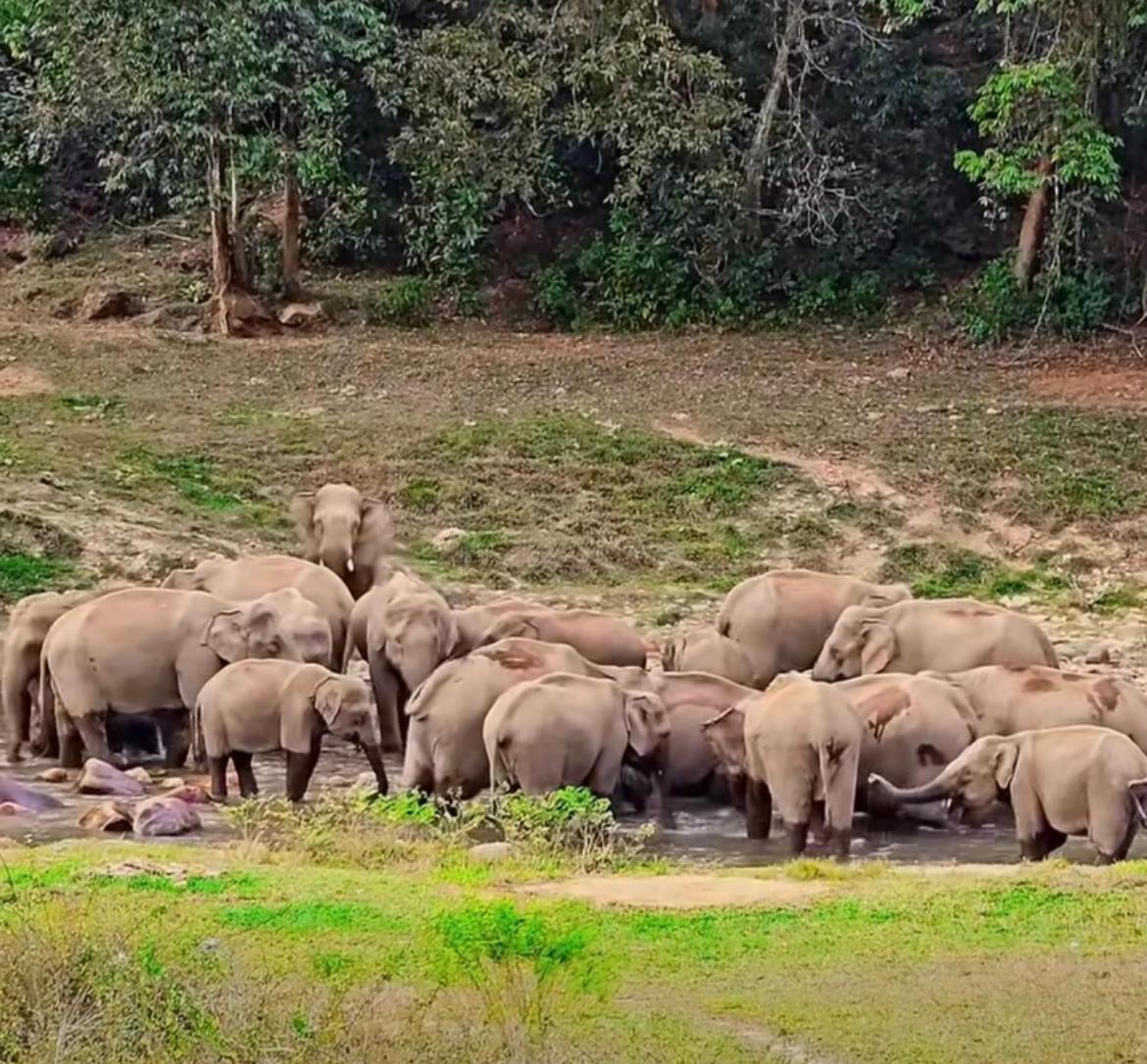 Maliyeckal Homestay Munnar Eksteriør bilde